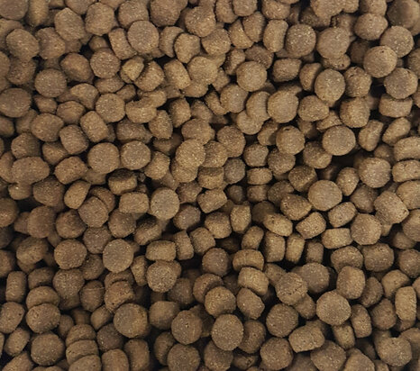 Kivo Plus Premium ge&euml;xtrudeerd | 15kg